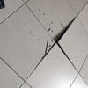 Thumb img 20201220 155732
