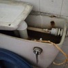 Thumb img 20210113 111453