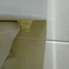 Thumb img 20210207 000550