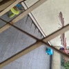 Thumb 20210629 100859