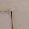 Thumb img 20210807 131443