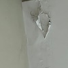 Thumb c6cd3f74 ee9b 41fa 95ed de12a479d3e5
