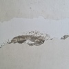 Thumb 20220114 132550