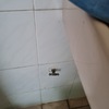 Thumb 20220127 102948