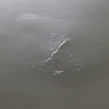 Thumb image