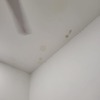 Thumb img 20220403 wa0001