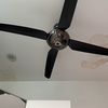 Thumb img 7265