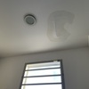 Thumb img 7263