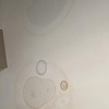 Thumb 294625251 629115078555827 1262039814228429046 n