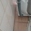 Thumb jpeg 20220927 113157 1231342728280408480