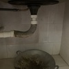 Thumb img 0832