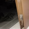 Thumb img 20221025 063803