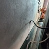 Thumb 20221115 145625