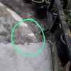 Thumb img 20221213 wa0012