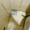 Thumb img 20221217 wa0000