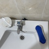 Thumb img 3066
