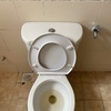 Thumb img 3069