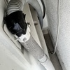 Thumb electrolux water outlet pipe leak