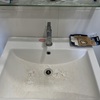 Thumb img 6933