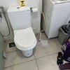Thumb img 6935