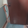 Thumb img 20230419 173004