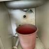 Thumb img 20230421 wa0009