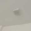 Thumb untitled