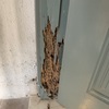 Thumb img 7487