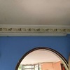 Thumb c0e34848 bbad 473f 84c9 1c4819d68075