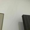 Thumb img 7880
