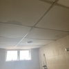 Thumb img 2271