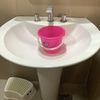 Thumb img 0294