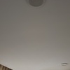 Thumb 20230702 130706