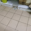 Thumb img 20230709 212433