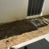 Thumb back yard