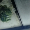 Thumb img 2806