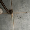 Thumb img 3167