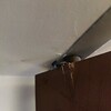 Thumb img 20230802 wa0020
