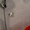 Thumb img 3914