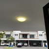 Thumb img 6090