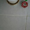 Thumb 20230903 212317.mp4 snapshot 00.01.634