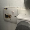 Thumb img 0706