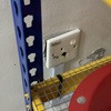 Thumb img 9311