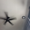 Thumb 16981226602553043248169833582364