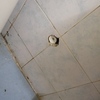 Thumb img 20231205 074414