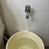 Thumb img 9785