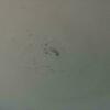 Thumb whatsapp image 2023 12 15 at 1.18.53 pm  2 