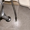 Thumb img 1044