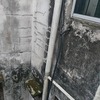 Thumb img 20231226 wa0005