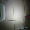 Thumb img 20240113 wa0012